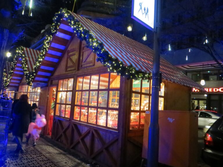 Пожар избухна на коледния базар в Берлин img 2693