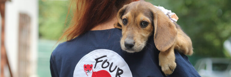 Жестока търговия с кученца тръгва от България wanda 1 5184x1727 1920x640 1