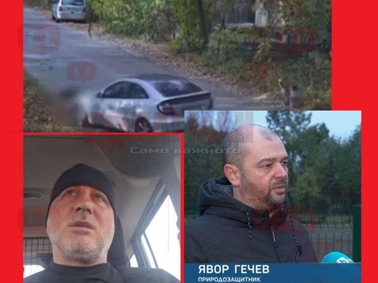 Ще вкарат ли в затвора чужденец, който прегази умишлено домашно куче и преби стопанина му 2024 11 13 12 30 11 3