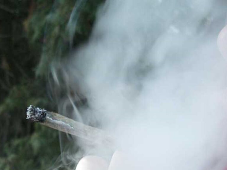 Полицията сгащи Паско от Карнобатско с 19 свивки с дрога 2024 11 26 08 30 06 1