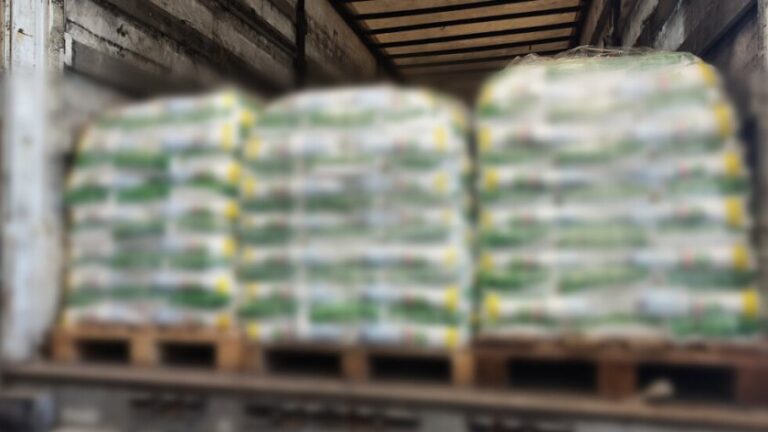 2025 03 24 12 30 10 6