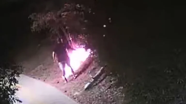 Охранителна камера засне как криминално проявен умишлено предизвиква горски пожар 53e2d51a 6399 4a89 b870 3eec4e693c4c