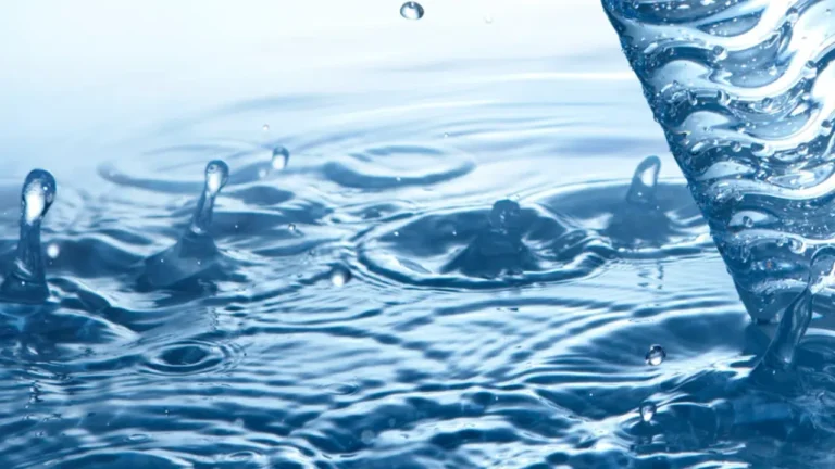 25b03508 d64c 46d6 ace6 9105bacdc68d