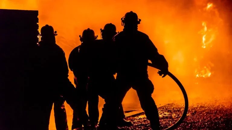 fd8298eb 3340 4198 819b 83fd8c2088d8