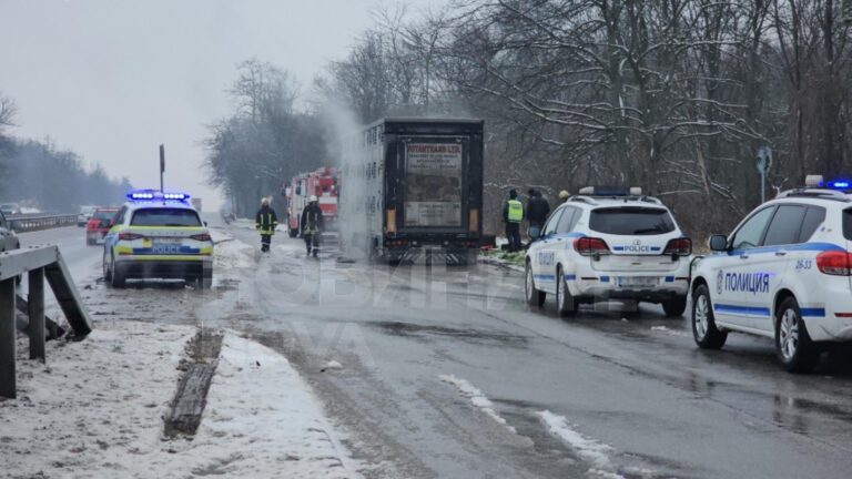 Камион с прасета се запали на пътя Хасково – Димитровград -