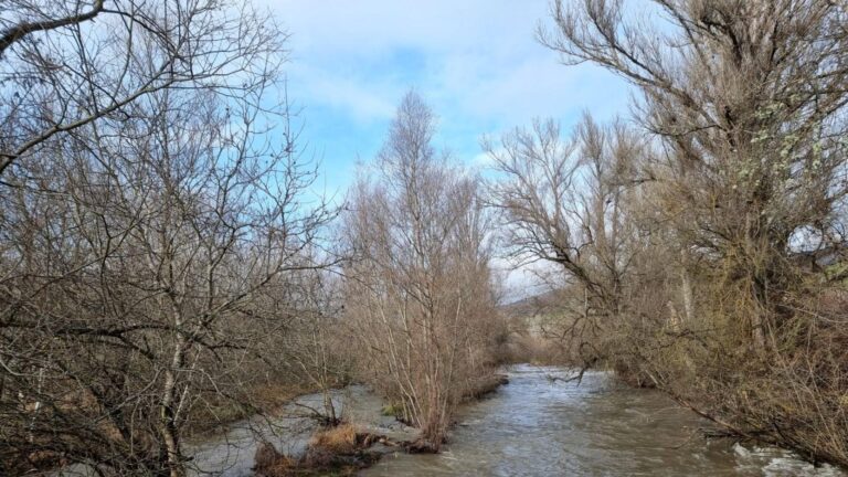 Река Струма е в критично състояние край Батановци заради спукана дига -