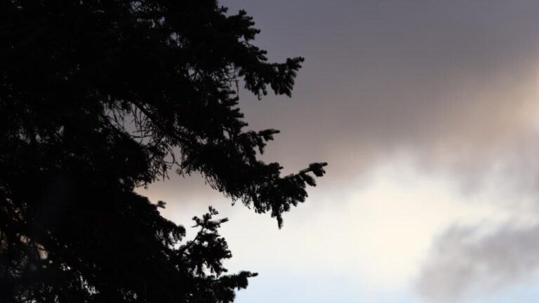 1920 1080 viatyr 2.jpg 2