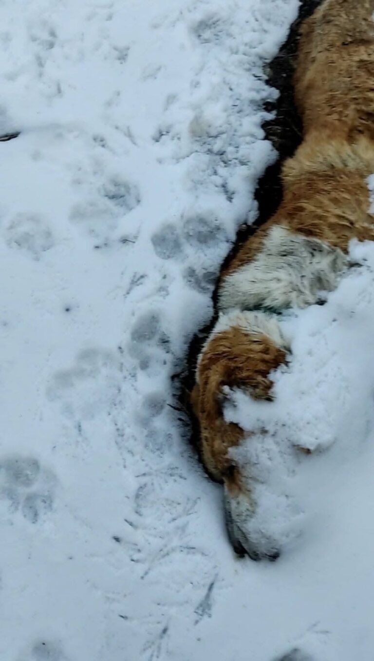 e4caa4706ed5a83bb93e45a98528e954 10.jpeg 10